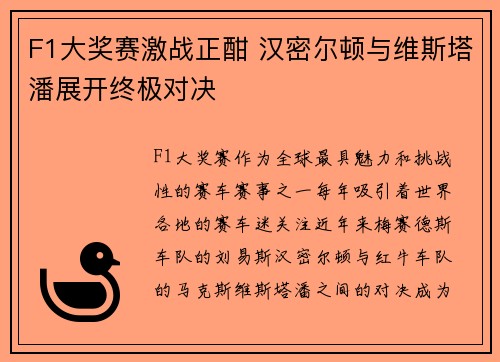 F1大奖赛激战正酣 汉密尔顿与维斯塔潘展开终极对决